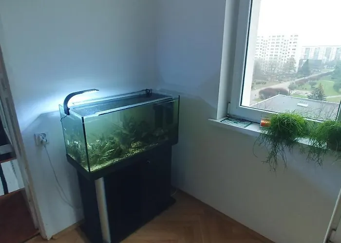 Mieszkanie W Gdansku * Gdańsk